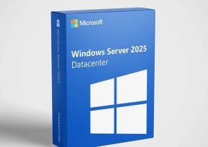 Microsoft Windows Server 2025 Datacenter 24 Core for 1 Device | Lifetime License |