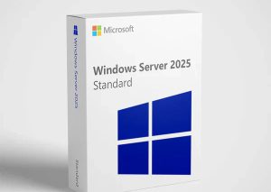 Microsoft Windows Server 2025 Standard 24 Core for 3 Devices | Lifetime License |