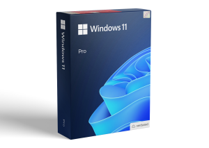 Microsoft Windows 11 Professional 64 Bit Product Key Online Activation Lifetime