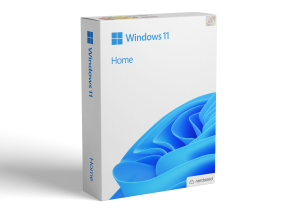 Microsoft Windows 11 Home 64 Bit Product Key Online Activation Lifetime